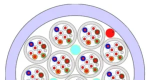 Cables Trunk 12x Cat6A FTP